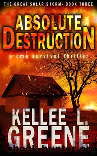 The Great Solar Storm | Book 3 | Absolute Destruction by Greene Kellee L