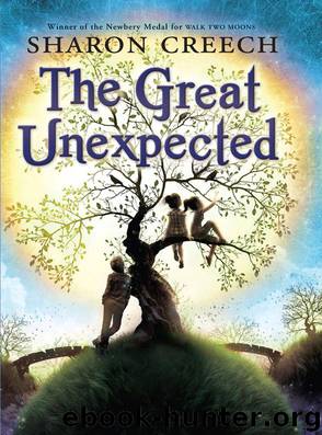 The Great Unexpected by Sharon Creech