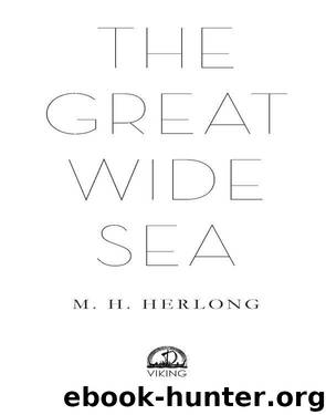 The Great Wide Sea by M.H. Herlong