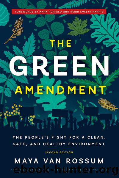 The Green Amendment: the People's Fight for a Clean, Safe, and Healthy Environment by Maya K. van Rossum