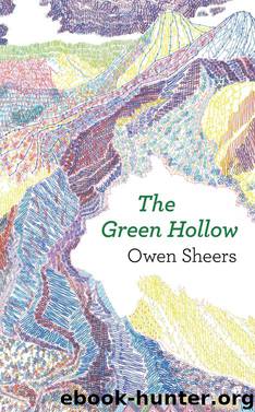 The Green Hollow by Owen Sheers