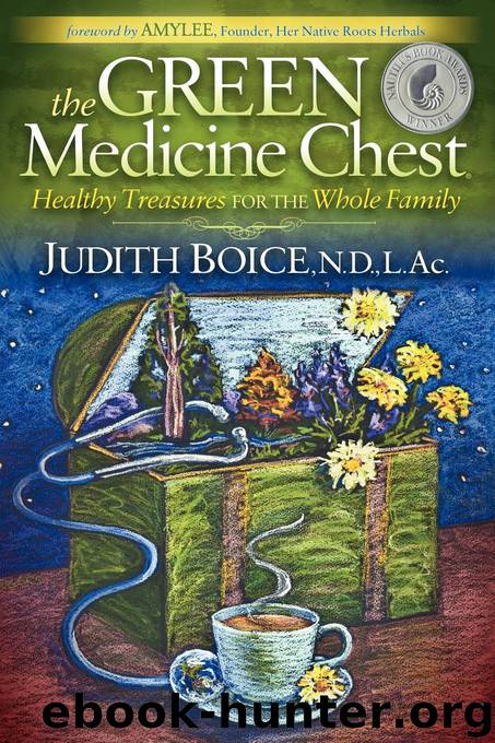 The Green Medicine Chest by Judith Boice