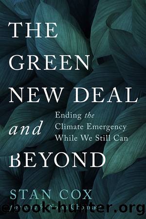The Green New Deal and Beyond by Cox Stan; Chomsky Noam;