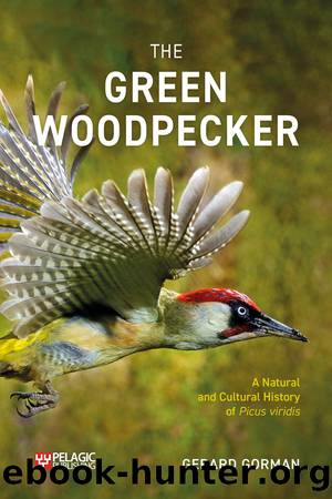 The Green Woodpecker by Gorman Gerard;