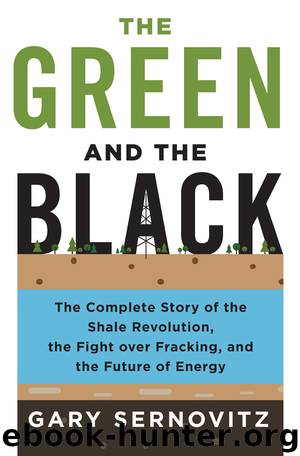 The Green and the Black by Gary Sernovitz