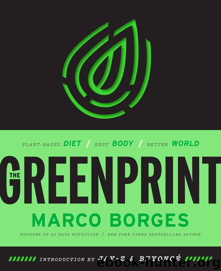 The Greenprint by Marco Borges & Jay-Z & Beyoncé