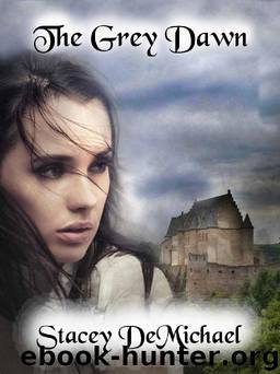 The Grey Dawn by Stacey DeMichael