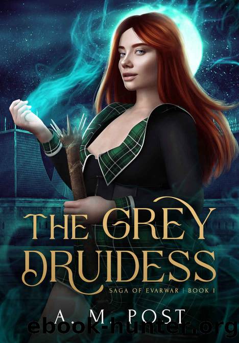 The Grey Druidess by Post A. M