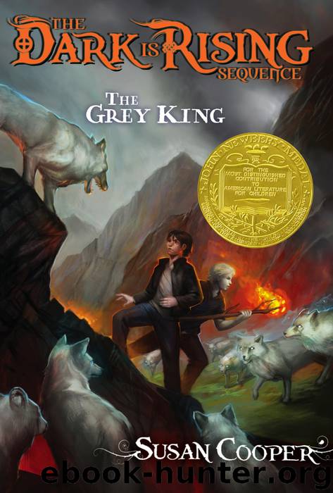 The Grey King by Susan Cooper