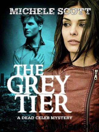 The Grey Tier by Scott Michele