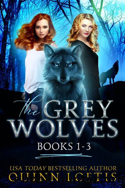 The Grey Wolves Series Collection Books 1-3 by Quinn Loftis