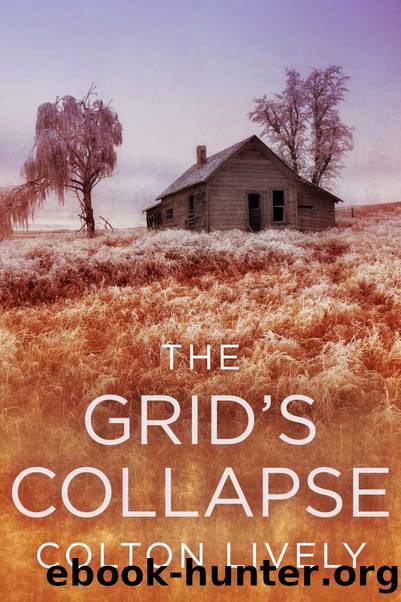 The Grid's Collapse: A Small Town Post Apocalypse EMP Thriller by Colton Lively