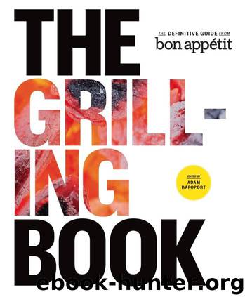 The Grilling Book by Adam Rapoport