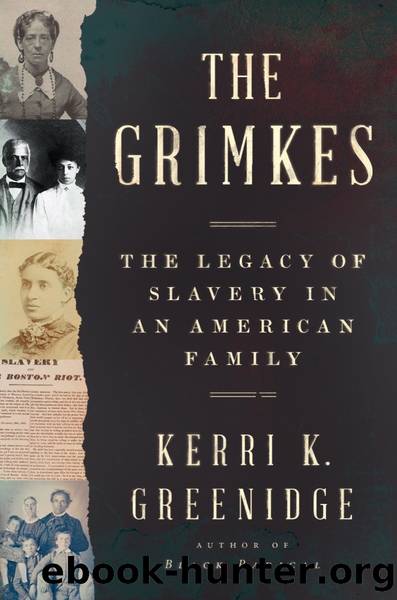 The Grimkes by Unknown