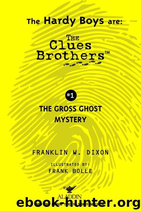 The Gross Ghost Mystery by Franklin W. Dixon