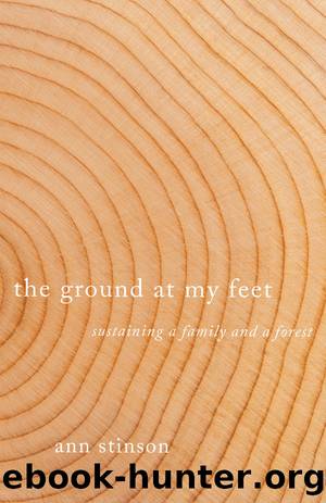 The Ground at My Feet by Ann Stinson