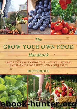 The Grow Your Own Food Handbook by Monte Burch