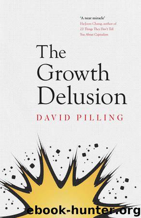 The Growth Delusion: The Wealth and Well-Being of Nations by David Pilling