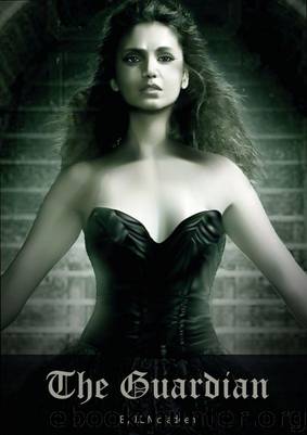 The Guardian (Volume 1) by J.L McFadden