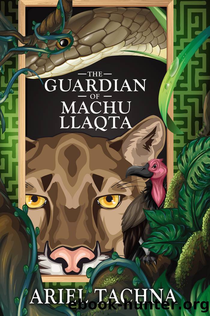 The Guardian of Machu Llaqta by Ariel Tachna