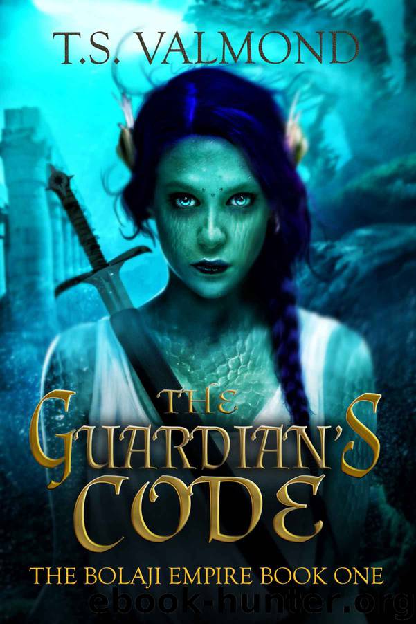 The Guardian's Code by Valmond T. S
