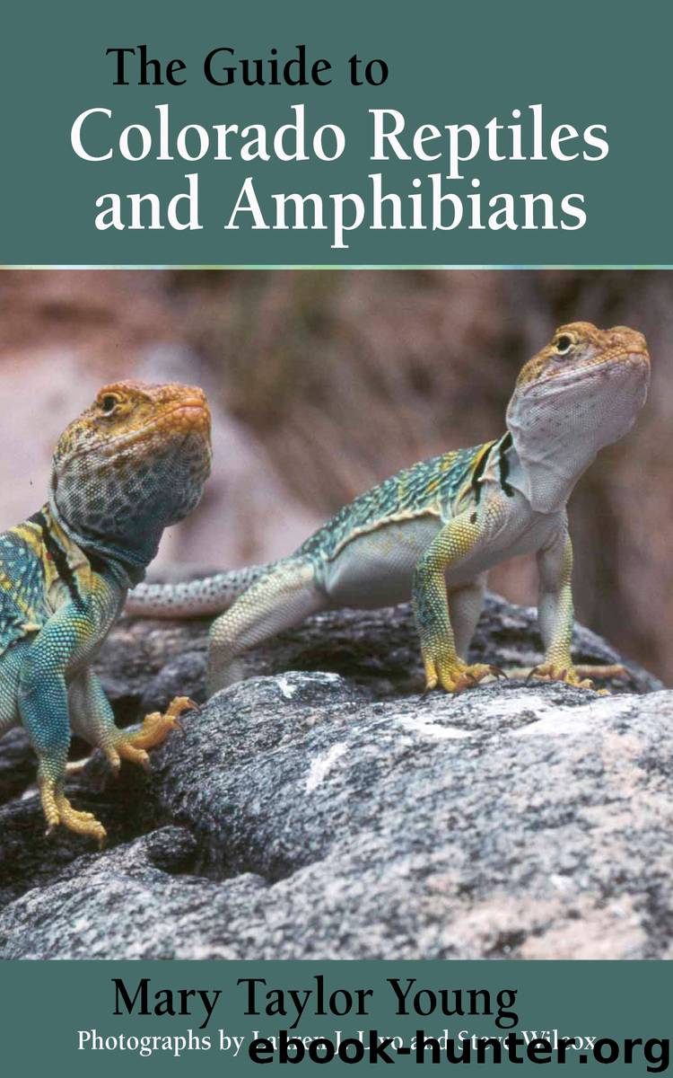 The Guide to Colorado Reptiles and Amphibians by Mary Taylor Young
