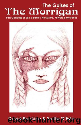 The Guises of the Morrigan - The Irish Goddess of Sex & Battle by David Rankine & Sorita d'Este