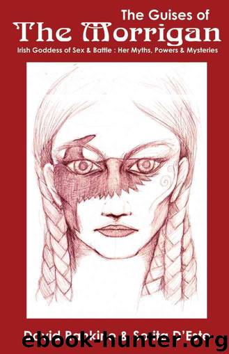 The Guises of the Morrigan - The Irish Goddess of Sex & Battle by Rankine David & d'Este Sorita
