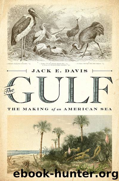 The Gulf by Jack E. Davis