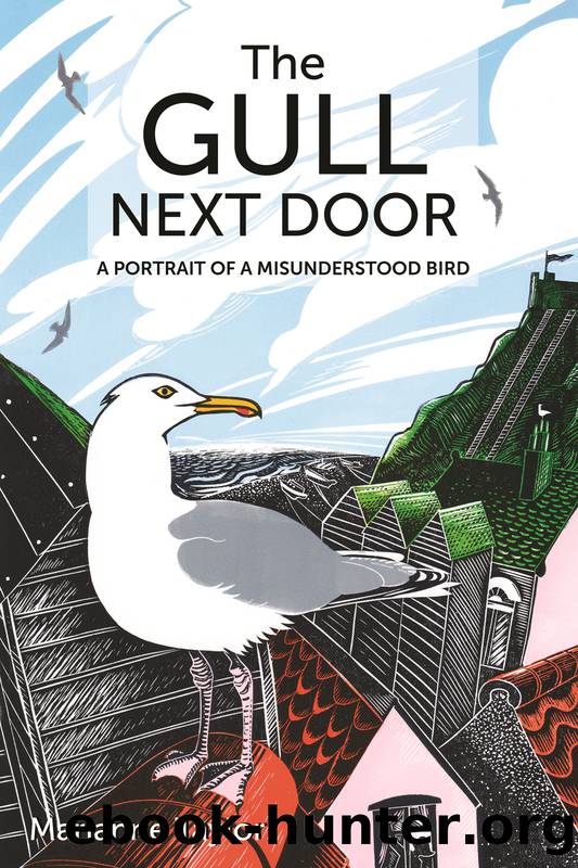 The Gull Next Door: a Portrait of a Misunderstood Bird by Marianne Taylor