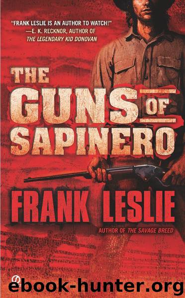 The Guns of Sapinero by Frank Leslie