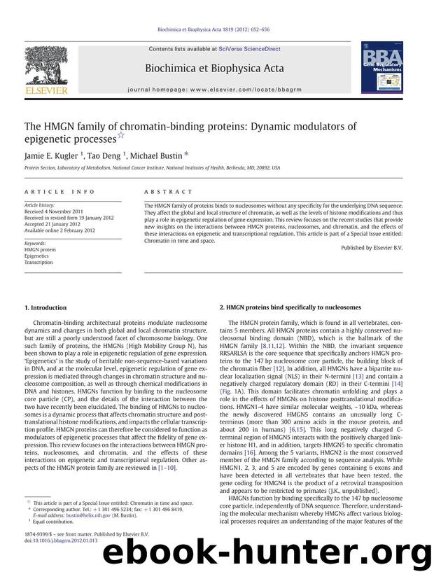 The HMGN family of chromatin-binding proteins: Dynamic modulators of epigenetic processes by Jamie E. Kugler & Tao Deng & Michael Bustin