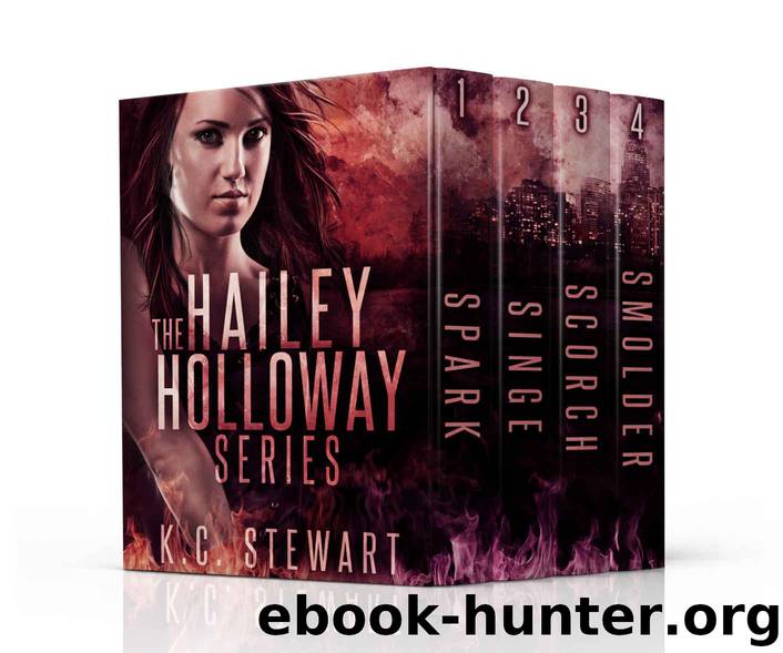 The Hailey Holloway Complete Series by Stewart K.C