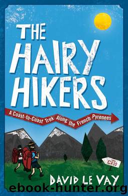 The Hairy Hikers: A Coast-to-Coast Trek along the French Pyrenees by David Le Vay