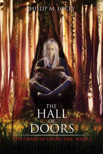 The Hall of Doors by Phillip Locey