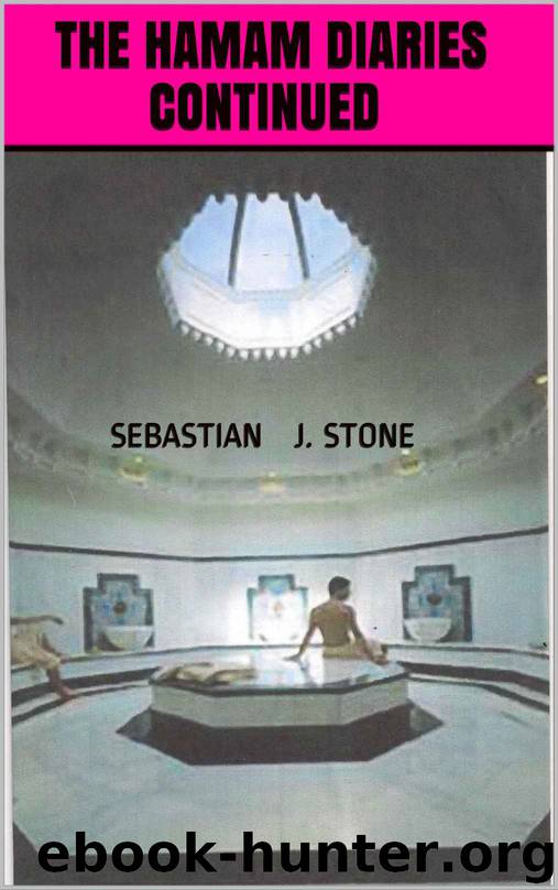 The Hamam Diaries Continued by Sebastian J Stone