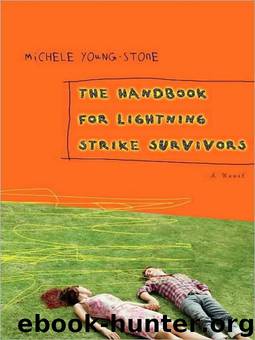 The Handbook for Lightning Strike Survivors by Michele Young-Stone