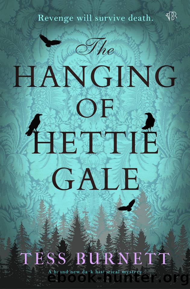 The Hanging of Hettie Gale: A BRAND NEW dark historical mystery by Tess Burnett