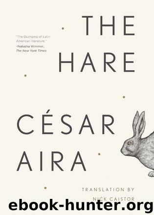 The Hare by César Aira