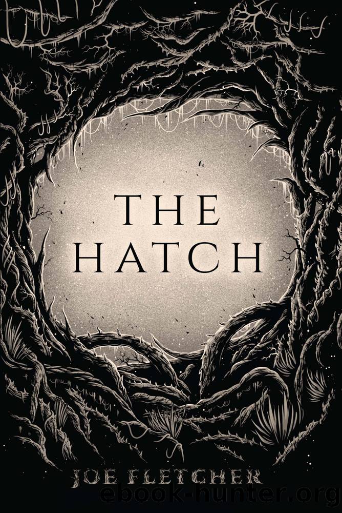 The Hatch by Joe Fletcher