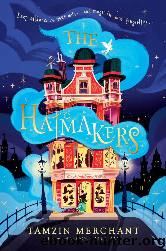 The Hatmakers by Tamzin Merchant