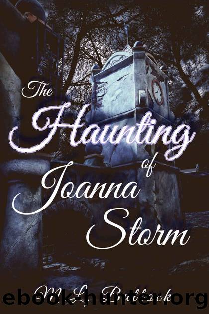 The Haunting of Joanna Storm by M. L. Bullock
