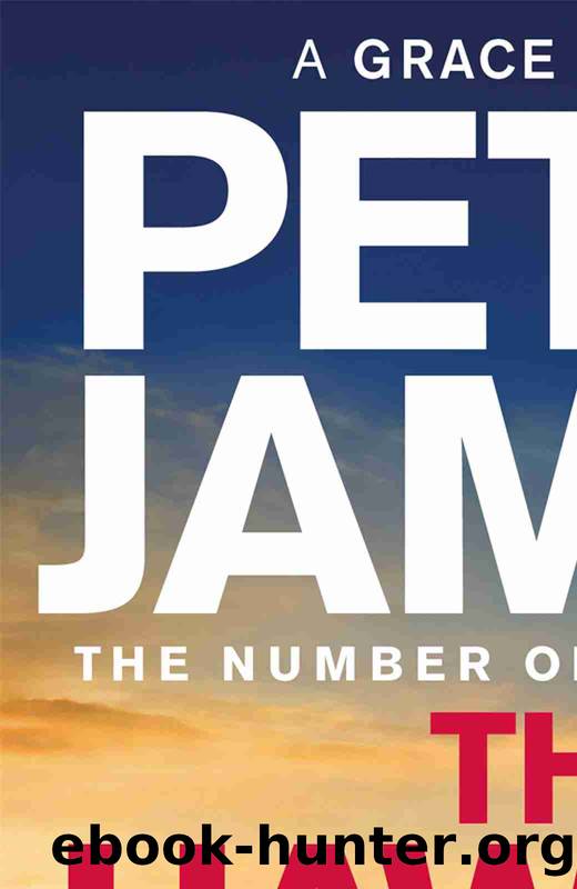 The Hawk Is Dead by Peter James