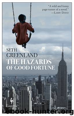The Hazards of Good Fortune by Seth Greenland