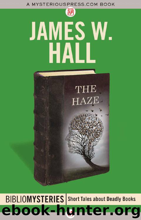 The Haze by James W. Hall
