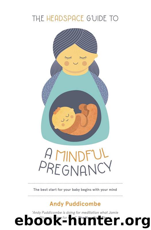 The Headspace Guide To A Mindful Pregnancy by Andy Puddicombe