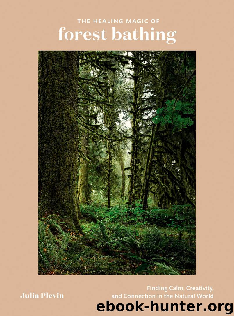 The Healing Magic of Forest Bathing by Julia Plevin