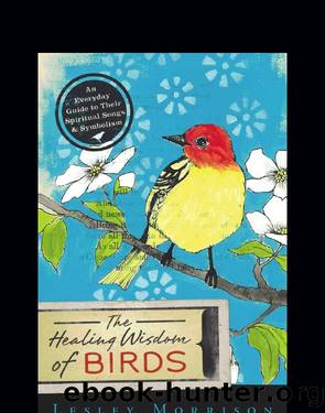 The Healing Wisdom of Birds by Lesley Morrison