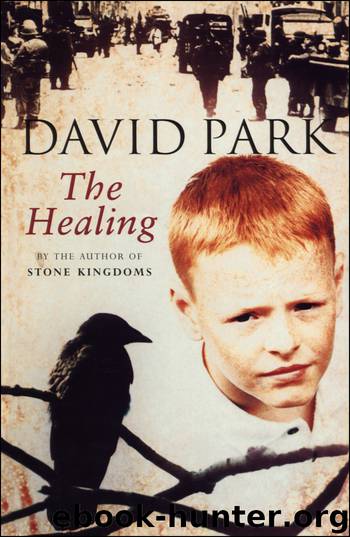 The Healing by David Park