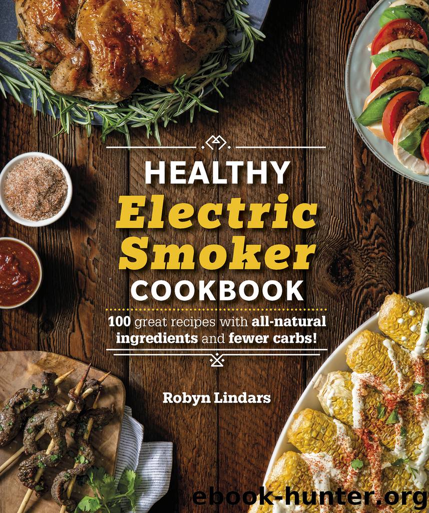The Healthy Electric Smoker Cookbook by Robyn Lindars